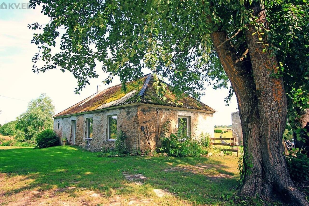 B&B Rando & Kaerdi Juures Oue Lyuganuse Exterior photo